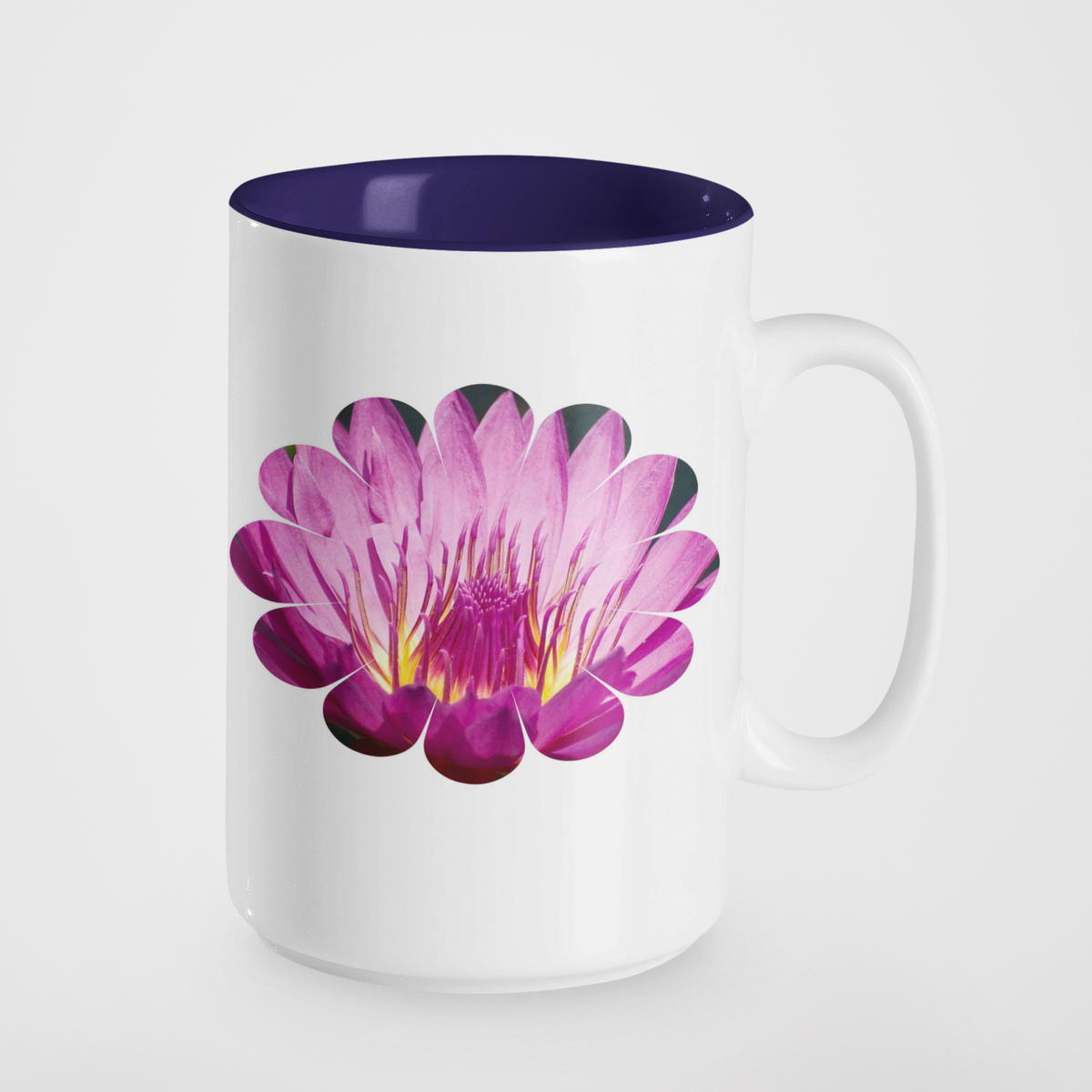 Every Good & Perfect Gift is from Above.  James 1:17, Water Lily