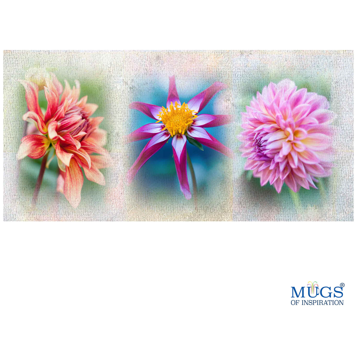 Delightful Dahlias